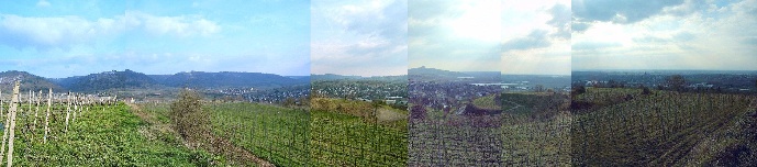 Panorama.jpg